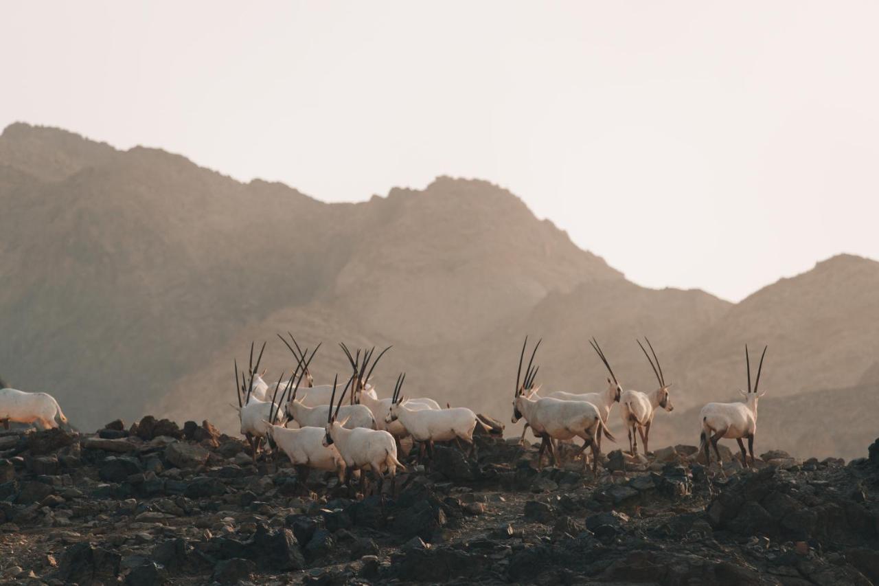 Hatta Resorts Exteriér fotografie